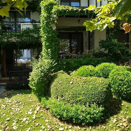 Oasis With 1 Bedroom Nat * Lozenets